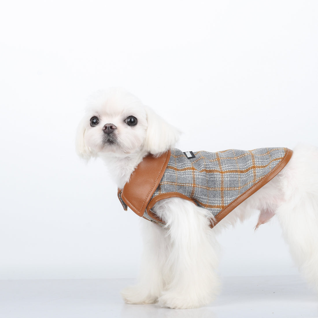 Aristocrat Plaid & Leather Pet Coat