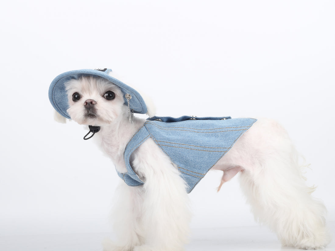 Vintage Denim Pet Cowboy Set - Hat & Harness Combo